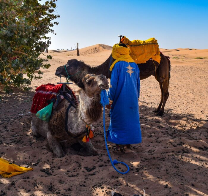 Private tour from Tangier