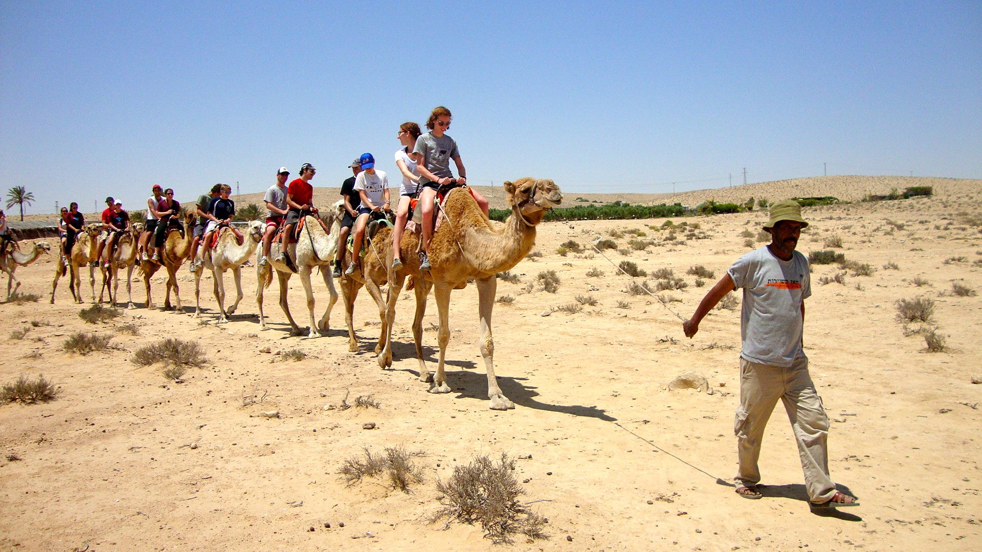 agafay desert camel ride - Booking a Camel Ride in Agafay Desert