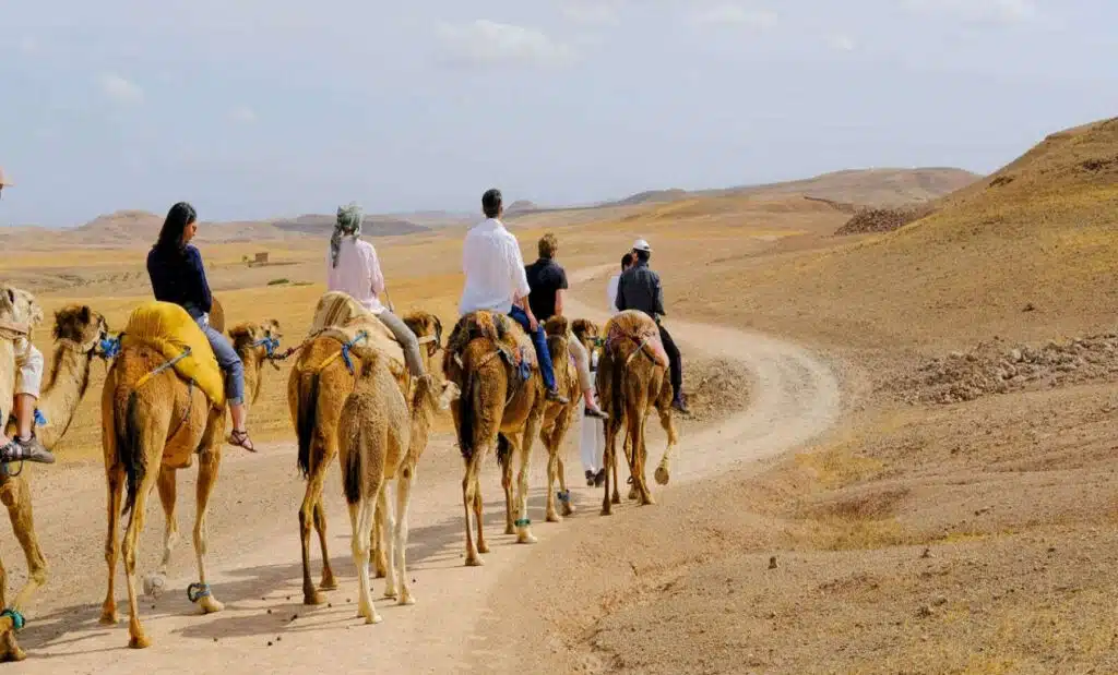 Agafay desert sunset camel ride Overnight and dinner in Agafay desert