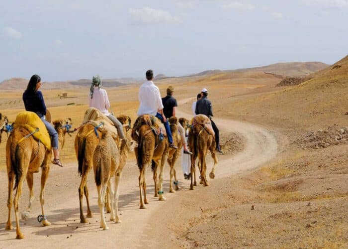 Agafay desert sunset camel ride