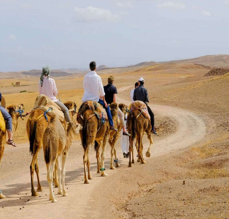 Agafay desert sunset camel ride