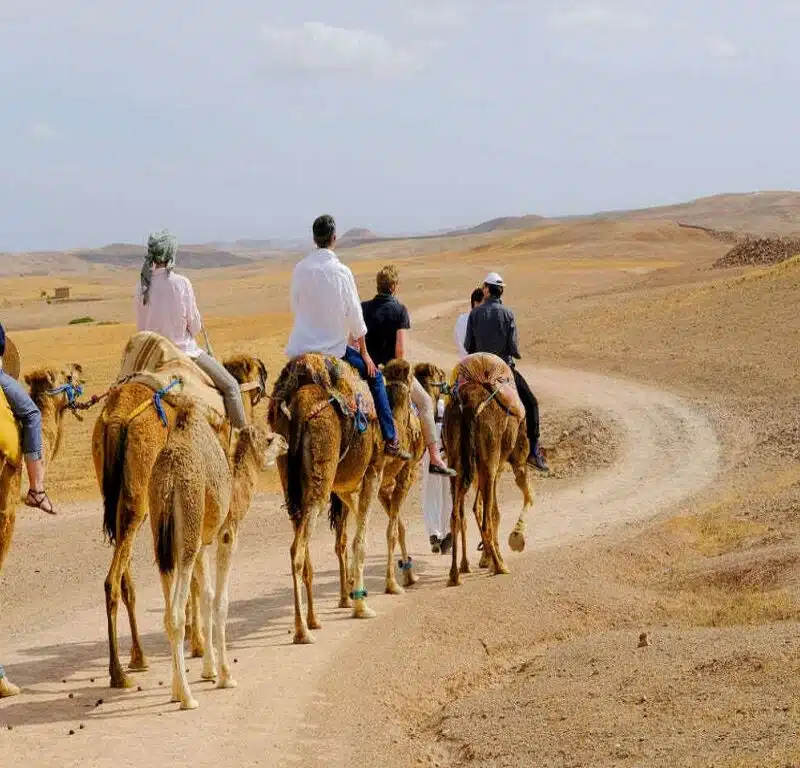 Agafay desert sunset camel ride