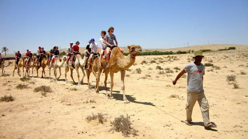 Agafay desert sunset camel ride  parents guide to Morocco