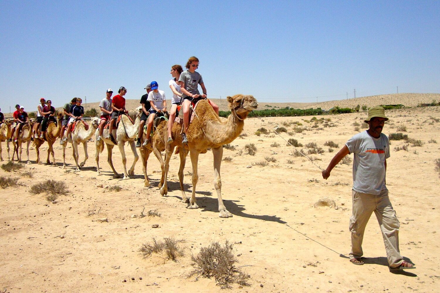 Agafay desert sunset camel ride