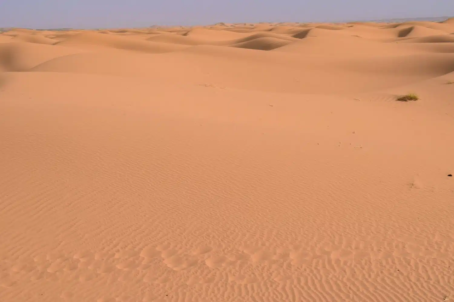 Sahara desert Morocco