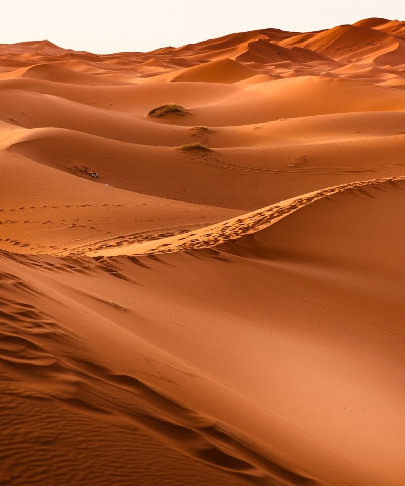 Desert tour from Agadir