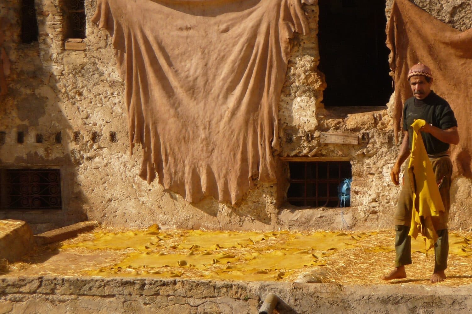 Fez chouara tannery