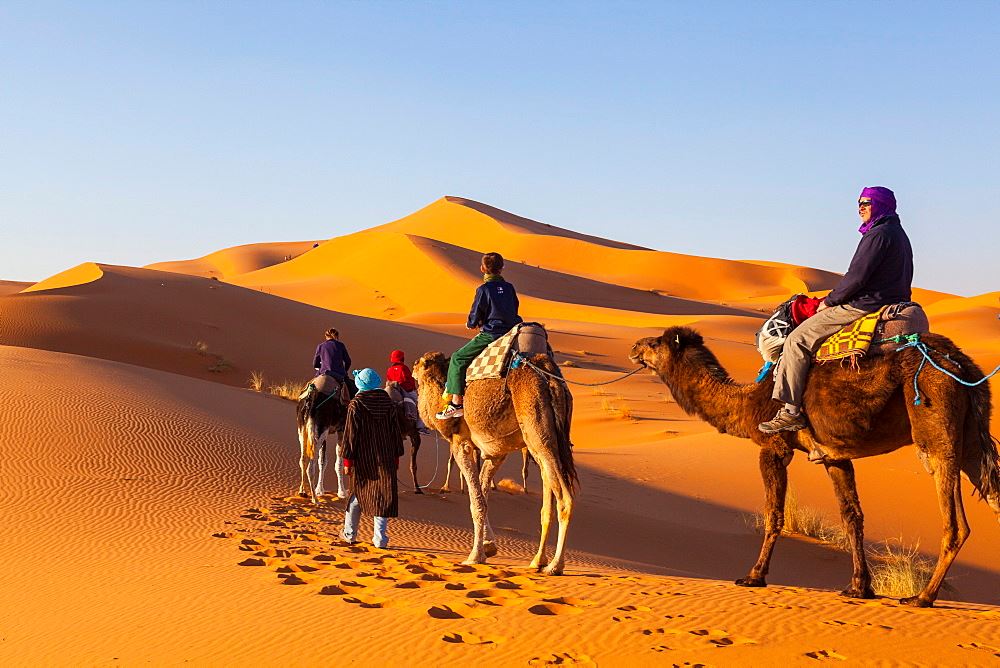 Morocco Small Group Tours