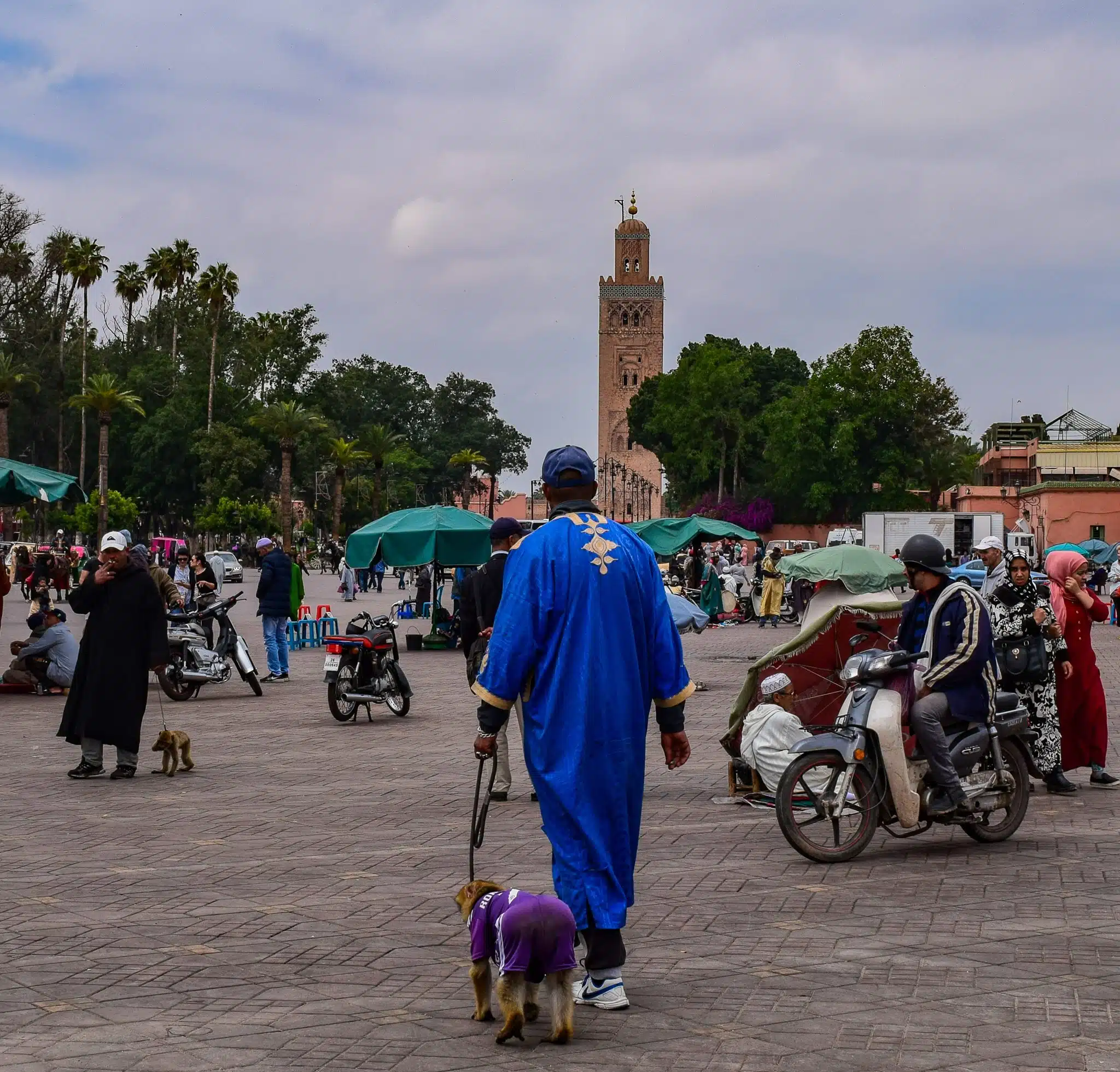 Morocco Imperial Cities Tours
