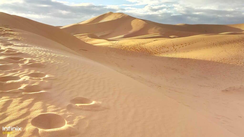 Marrakech desert tours