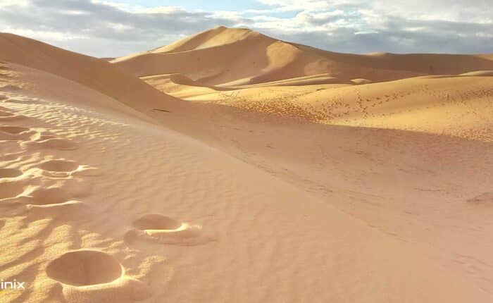 Desert Tours from Marrakech