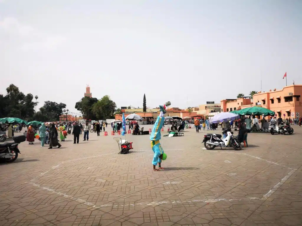 278411593 10221589365666974 7013829949948061184 n Morocco private tour from Marrakech