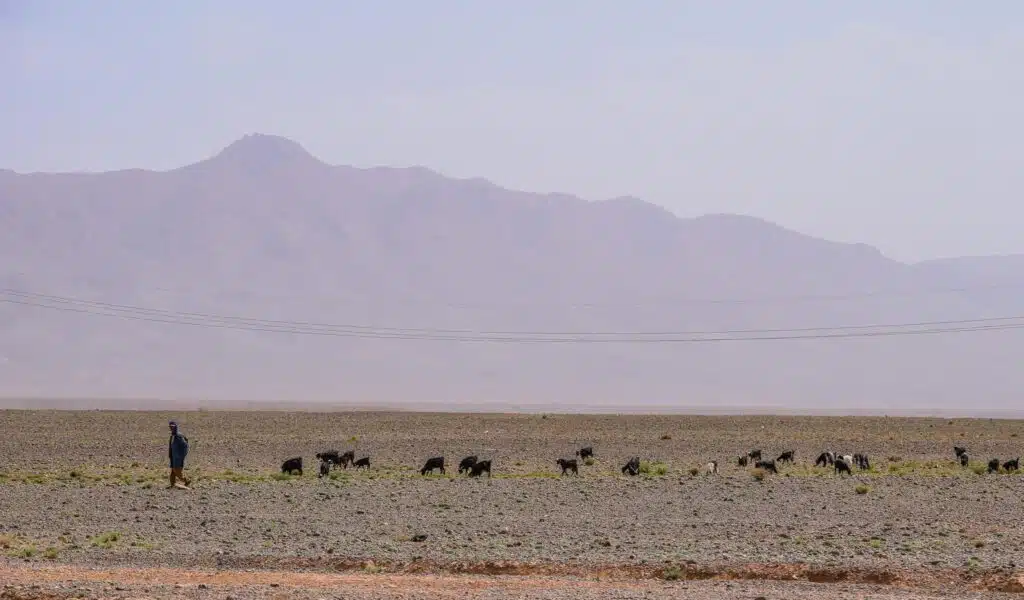 40017120 10101805829267321 1380990100590034944 n Sahara Desert private tours Morocco