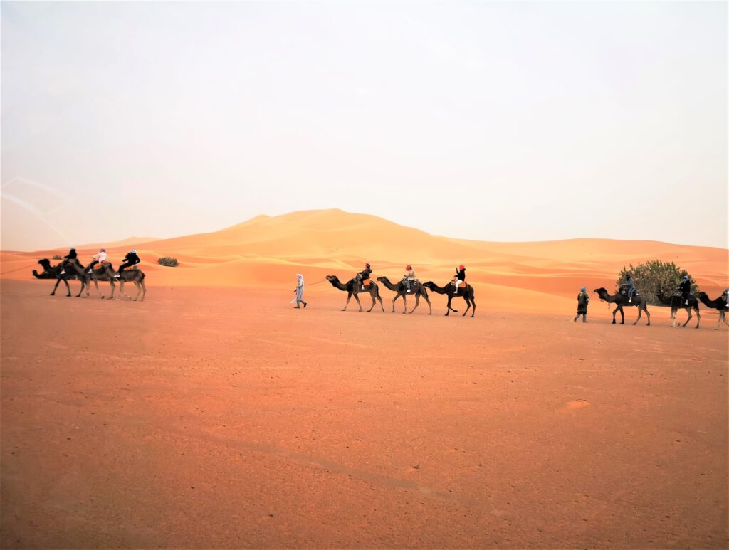 Sahara Desert Tours Morocco