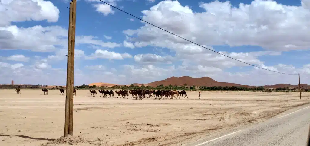 Merzouga desert tours