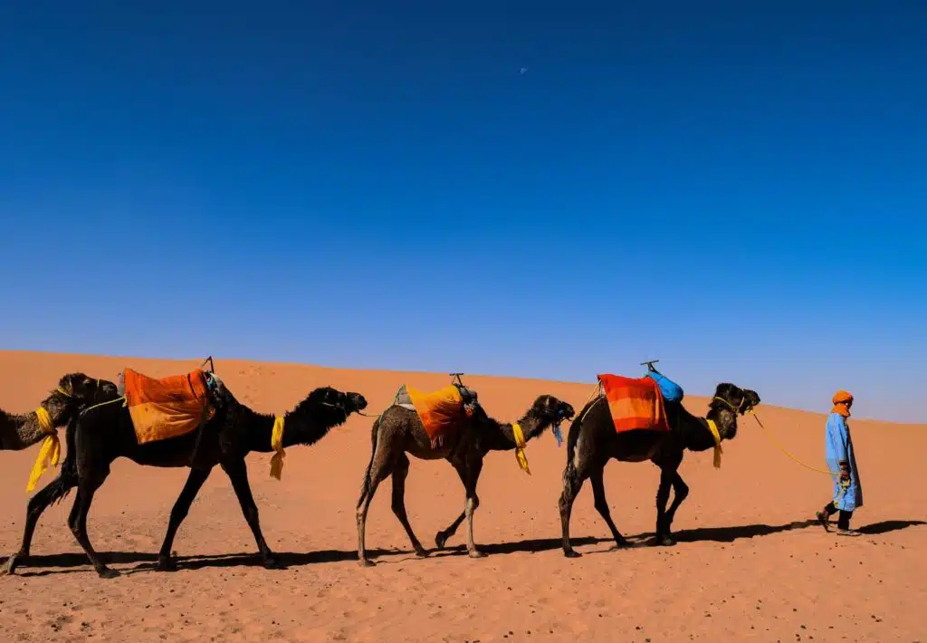 39985351 10101805836986851 6297875670437462016 n Morocco Attractions Entry Fees